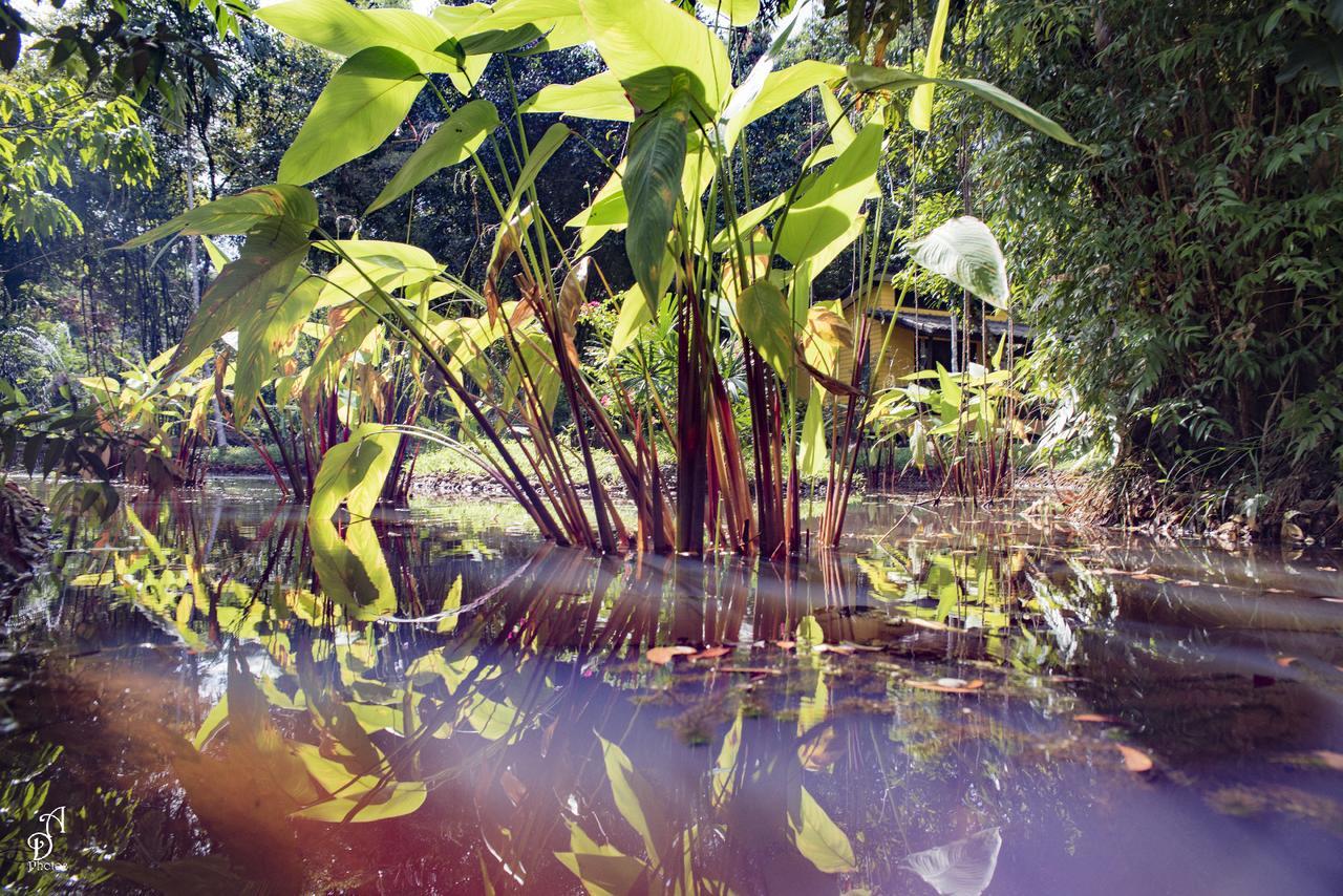 Garden Of Joy Hotel Koh Chang Luaran gambar